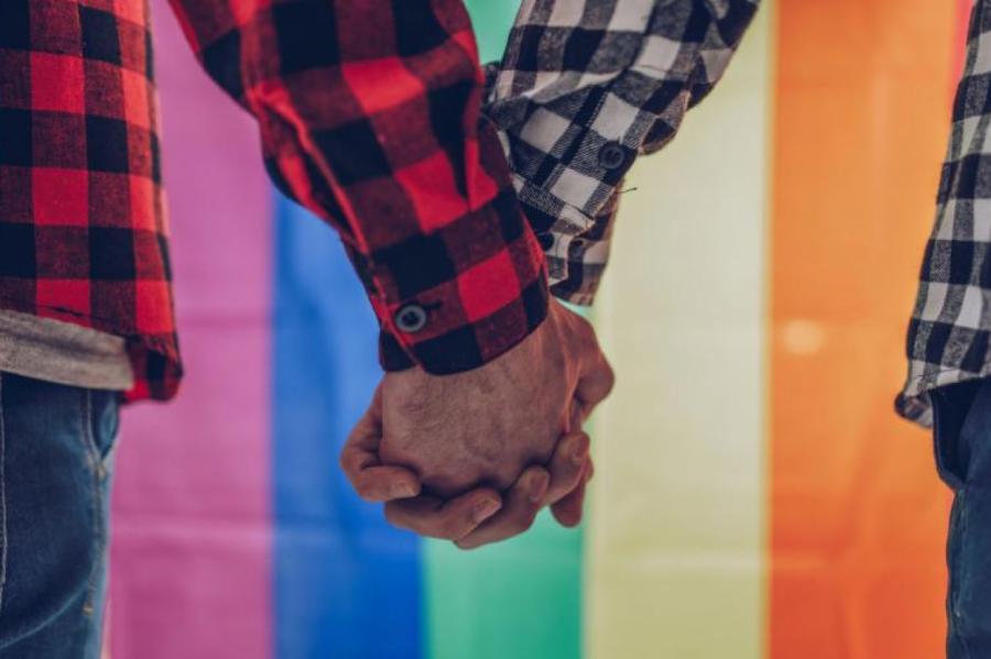 В Сейм подана инициатива о регистрации однополых партнерских отношений