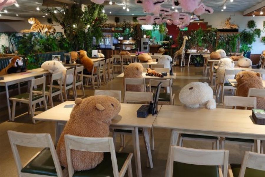 Кафе при японском зоопарке использует игрушечных животных