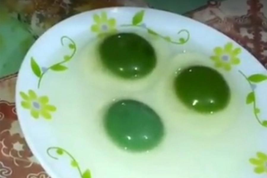 Куры индийского фермера несут яйца с зелеными желтками
