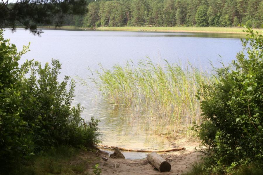 Берегите себя! В субботу в водоёмах Латвии были обнаружены два утопленника