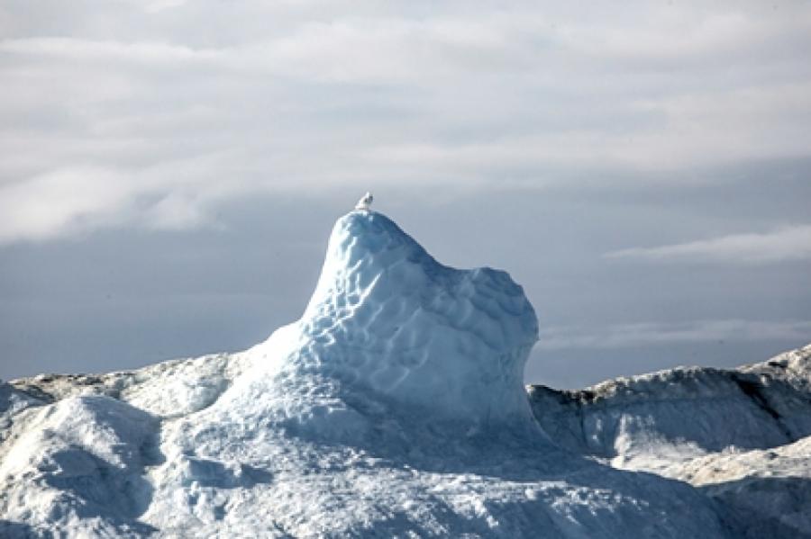 Что ждёт человечество? Учёный раскрыл таящиеся в ледниках опасные вирусы