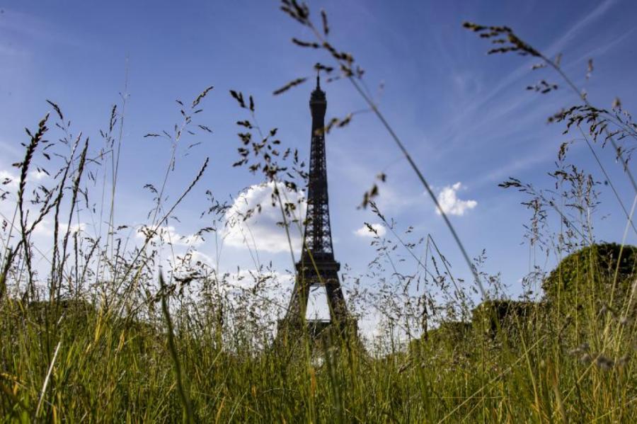 Экономике Франции удалось пережить беспрецедентный спад