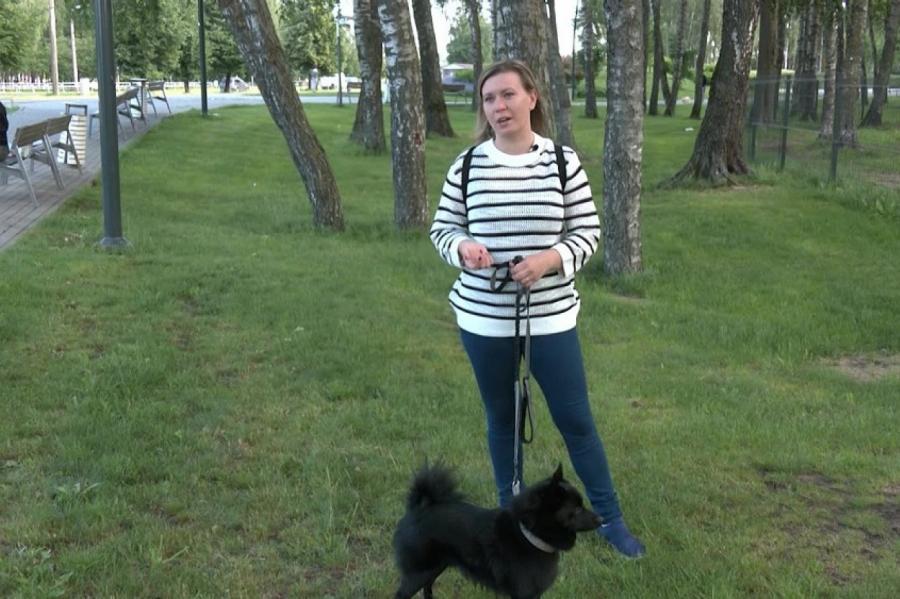В Латвии создано уникальное приложение для владельцев собак