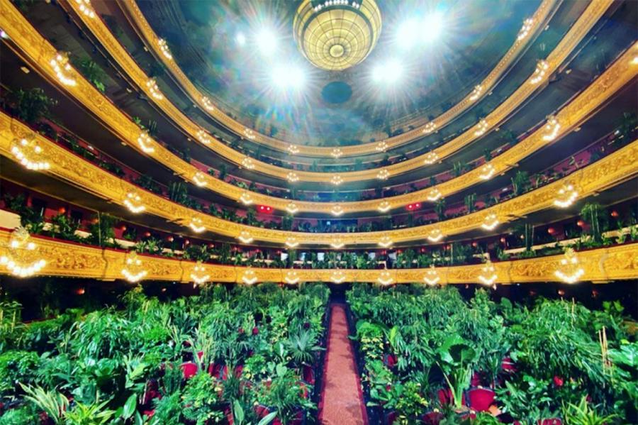 В оперном театре "Лисео" в Барселоне концерт посвятили растениям