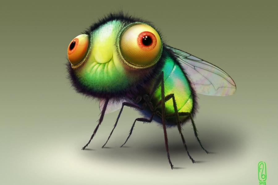 Может ли насекомое растолстеть как человек?