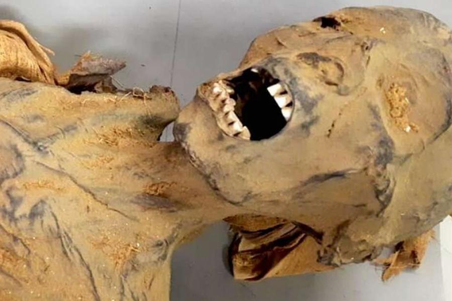 Ученые раскрыли тайну смерти "кричащей мумии" из Египта