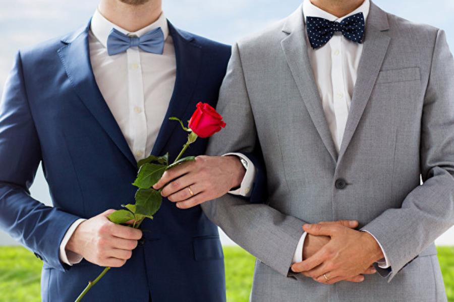 Муж первый и муж второй: однополые отношения добрались до Сейма