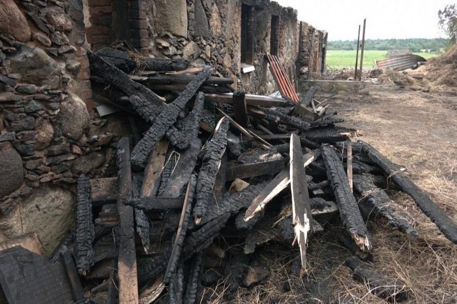 В реабилитационном центре в Кабиле пироман спалил хлев с животными