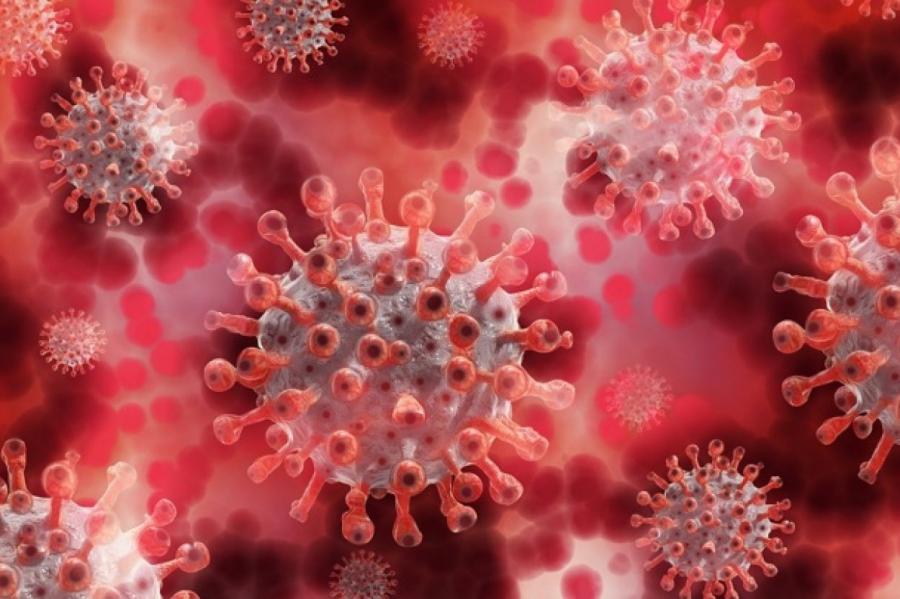 Учёные выяснили, для каких категорий населения коронавирус опаснее всего.