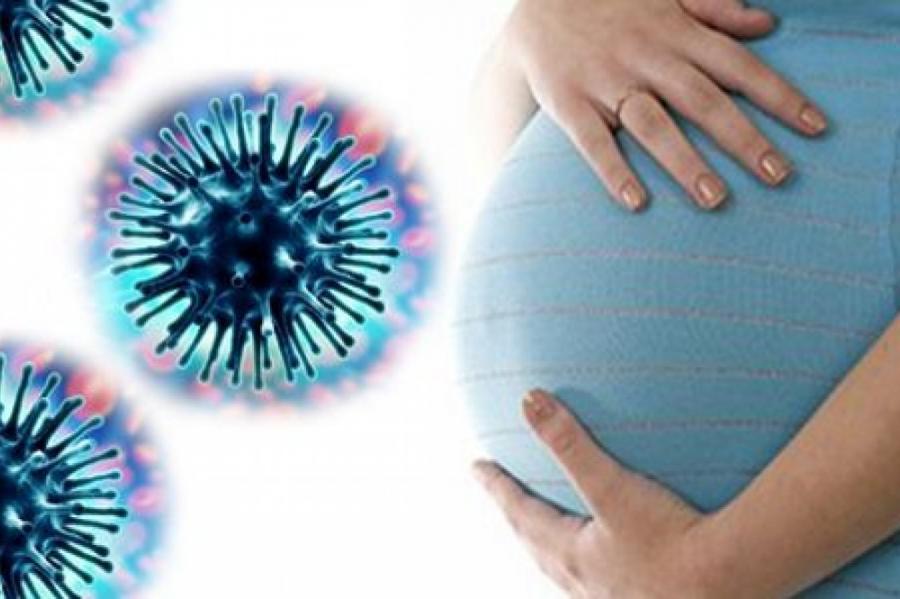 Коронавирус у беременных – опасен ли COVID-19 для плода, и как лечат инфекцию