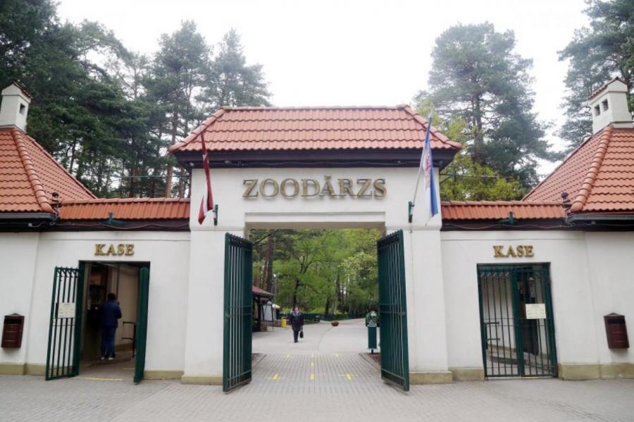В Рижском зоопарке расскажут о том, как школьники работают этим летом