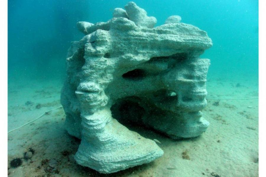 Кораллы начали печатать на 3D-принтере ради спасения рифов