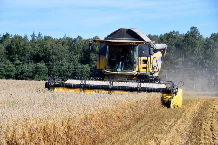 Озвучен прогноз урожай зерновых в Латвии в этом году