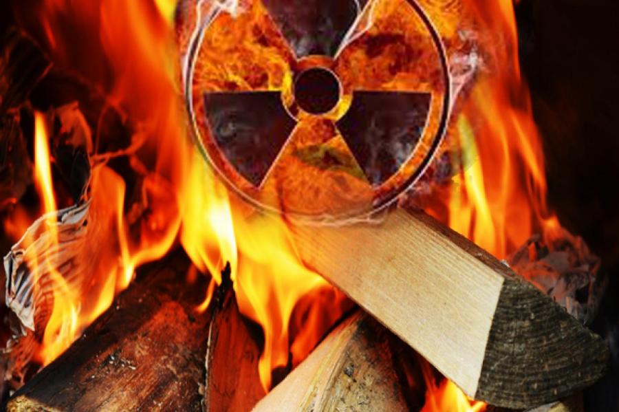 Радиоактивный пепел: в печи латвийцев загружают дрова из зоны Чернобыльской АЭС