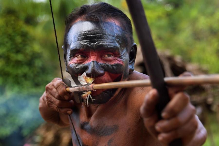 Стрела в сердце: в Амазонии убит исследователь диких племен
