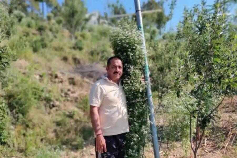 Индийский фермер вырастил кориандр рекордного размера