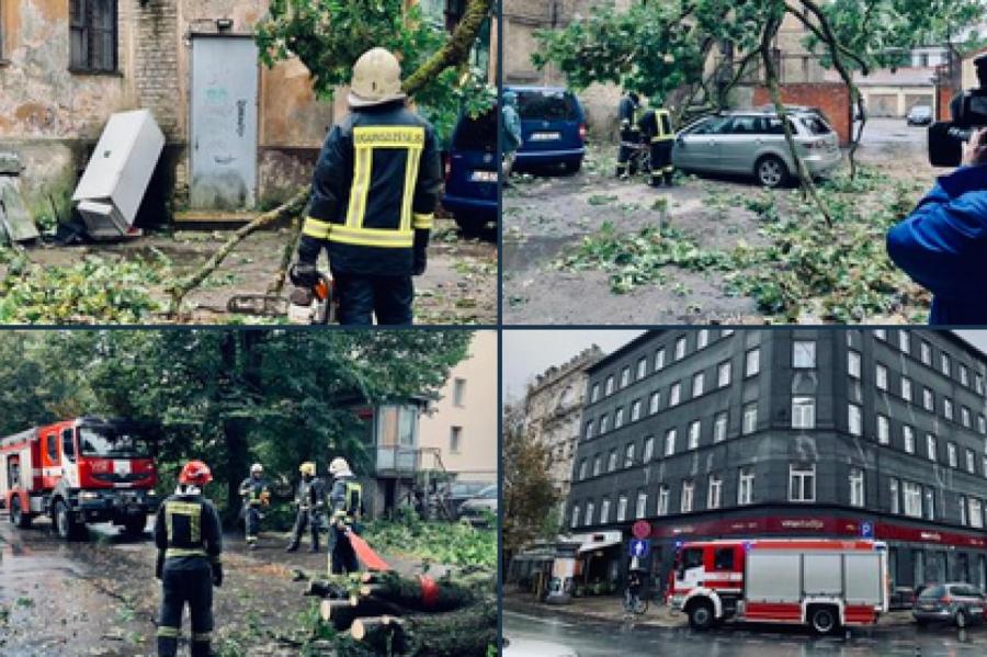 Битые машины, пробки, рваные провода: ветер прошел по Латвии, оставив разрушения