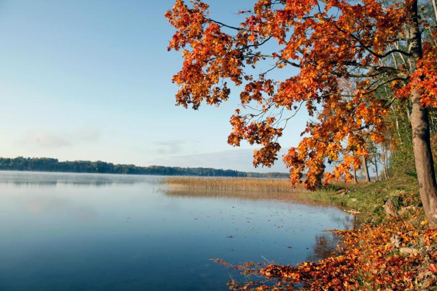 Такая Латвия: где-то уже осень, а на побережье все еще лето