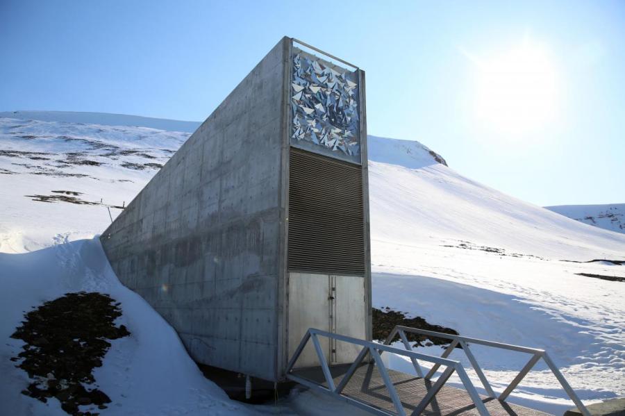 Хранить вечно: как устроено всемирное семенохранилище на Шпицбергене