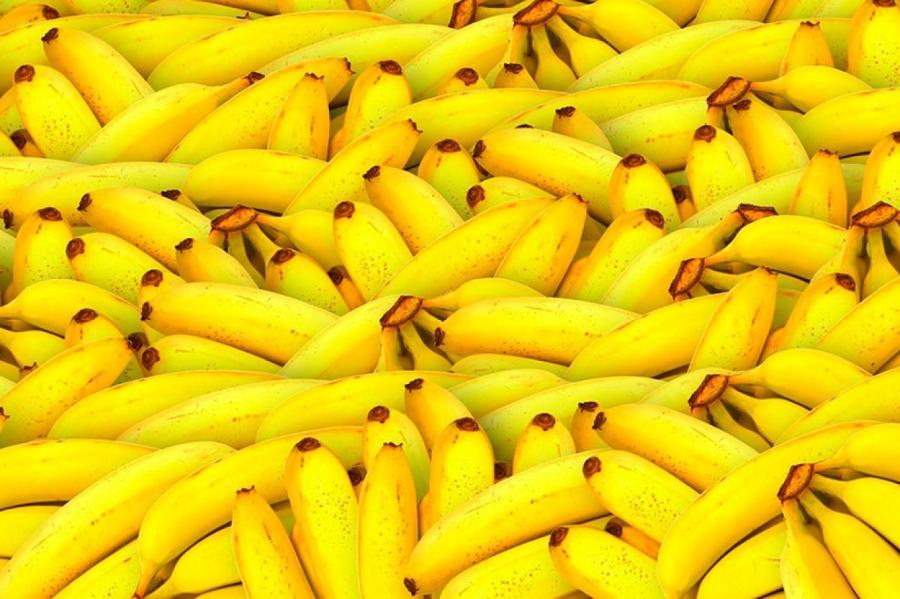 Бананы могут стать дефицитным продуктом в мире