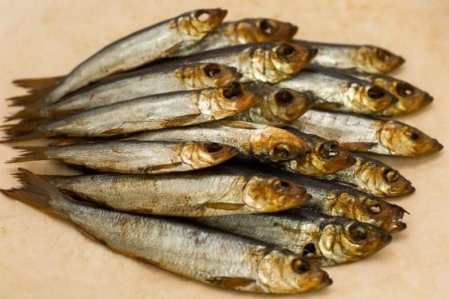 Опасна ли для здоровья рыба из Балтийского моря? Ученые дали ответ