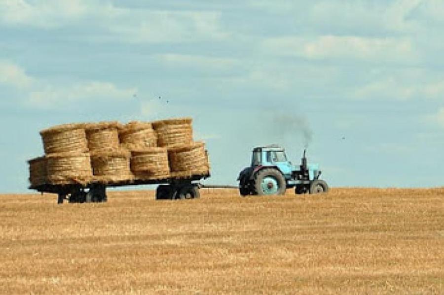 Россия нарастила экспорт сена в Латвию