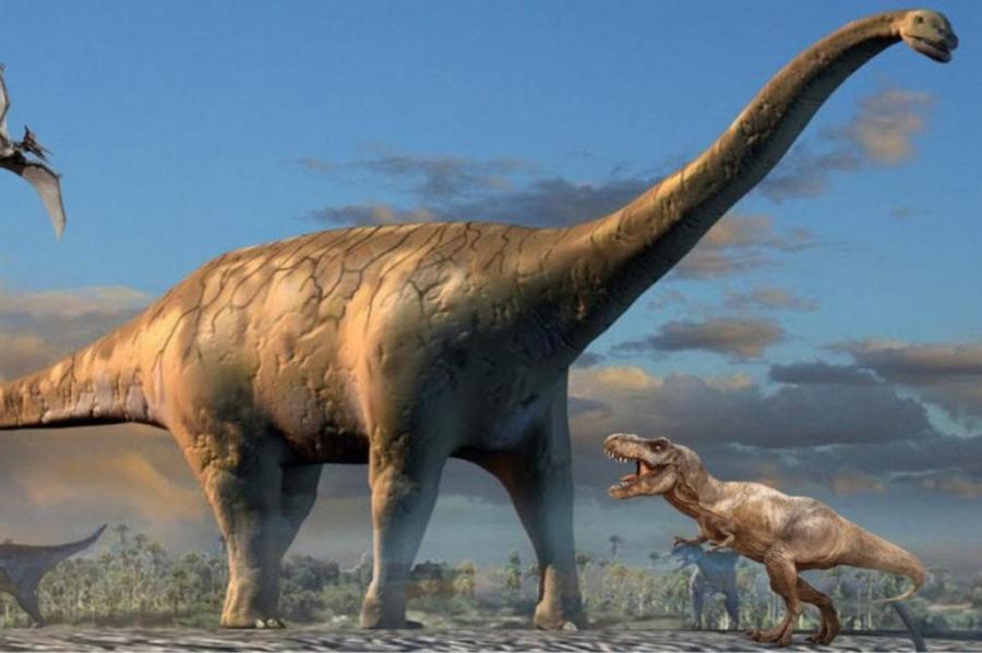 Так что же случилось с динозаврами?