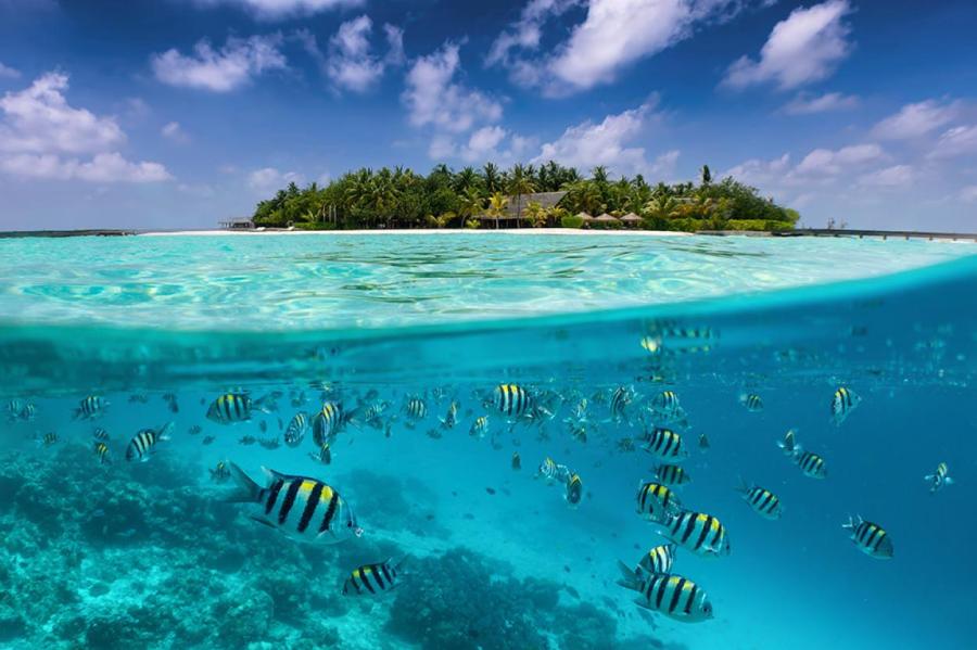 Baglioni Resort Maldives готовится снова встречать гостей