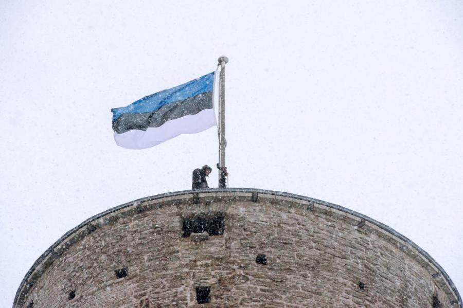 Россиянку разочаровал Таллин: слишком много русских, а говорят они как сапожники