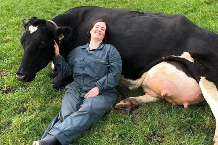 В Нидерландах фермы предложили туристам обнимать коров, чтобы понижать стресс