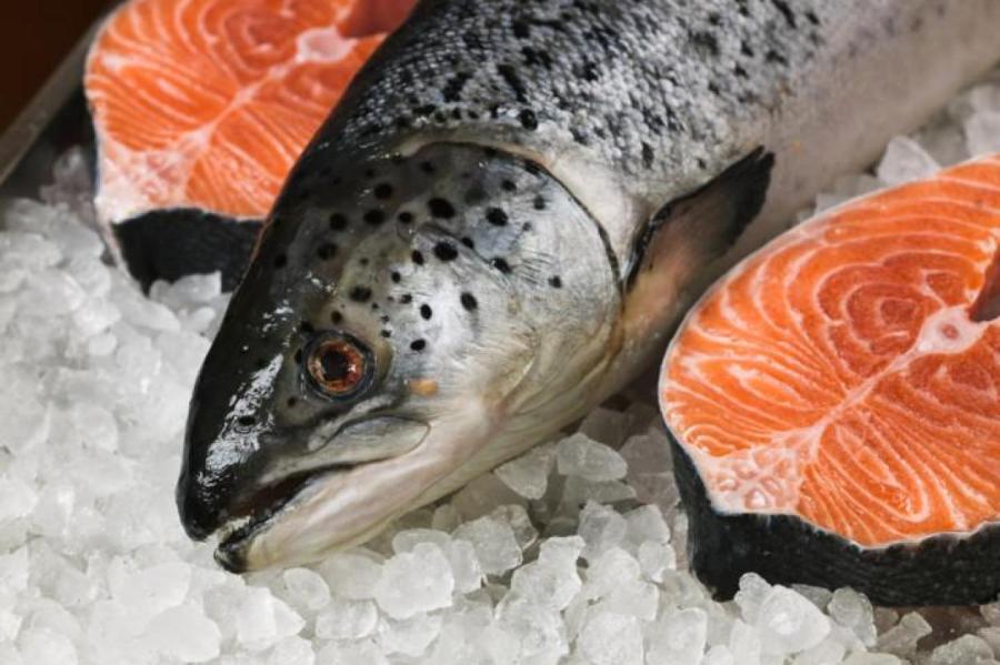 Неутешительные факты для любителей красной рыбы
