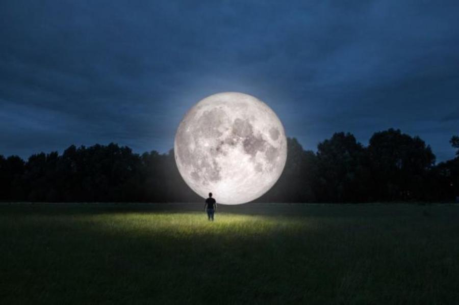 Как Луна влияет на дачные дела