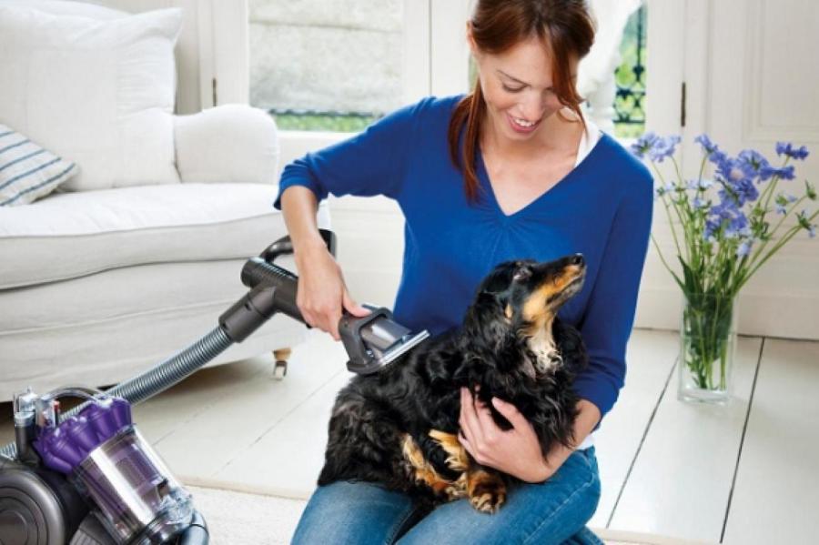 Как можно очистить дом от неприятного запаха и шерсти от пушистых животных