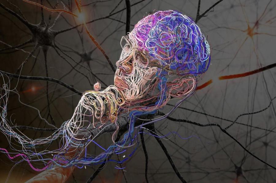 Исследование: самоизоляция активирует те же нейроны в мозге, что и голод