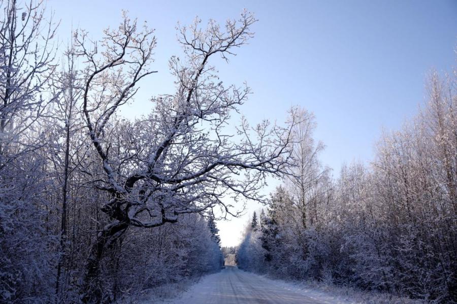 Достаем шубу: наступление метеорологической зимы в Латвии уже совсем близко