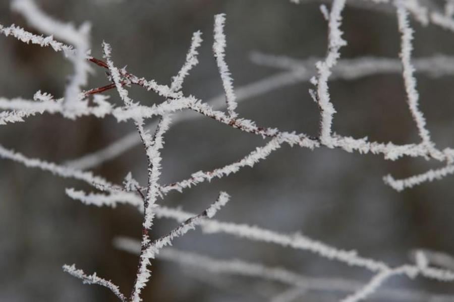 В восточной части Латвии ожидается начало метеорологической зимы