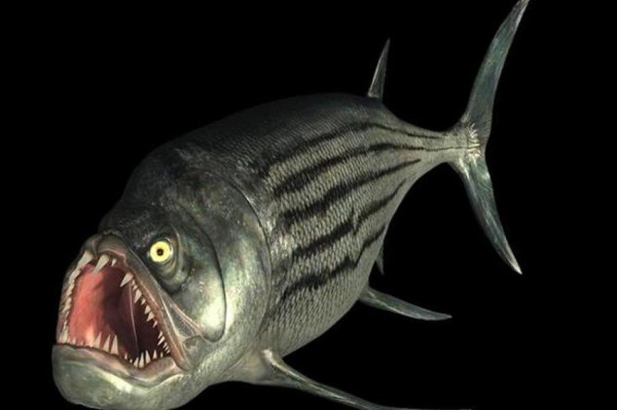 Древняя, очень древняя рыба из Патагонии