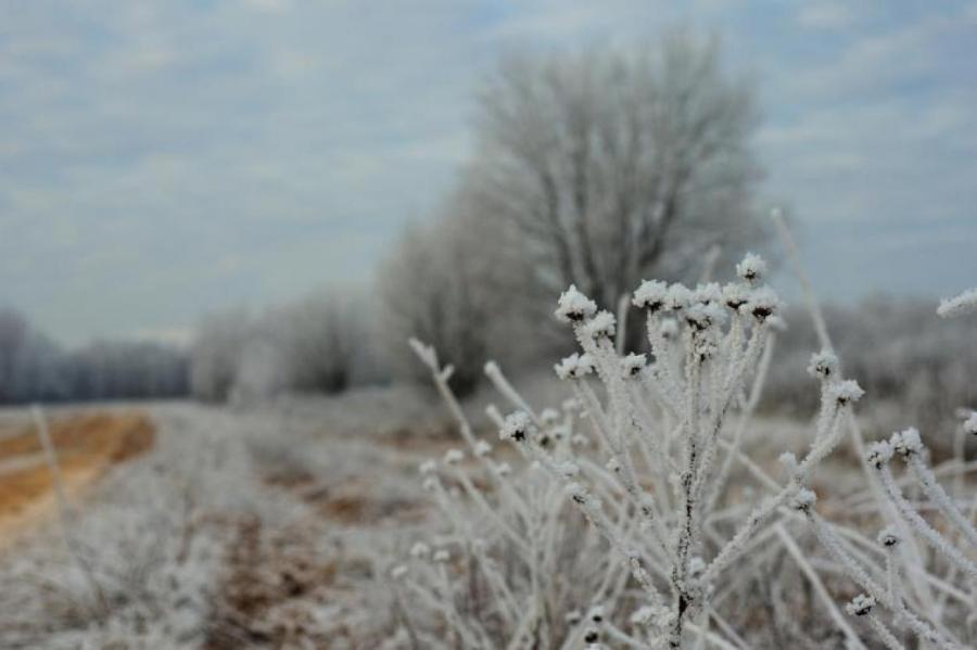 Синоптики рассказали, продлится ли в Латвии мороз