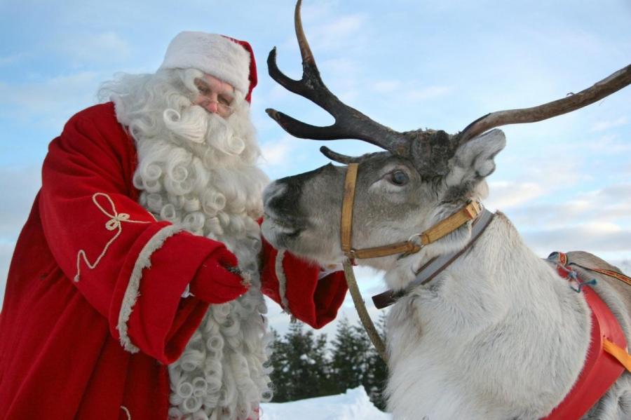 Интересные факты об оленях Санта Клауса