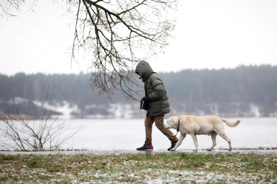 Синоптики рассказали о погоде на пятницу в Латвии