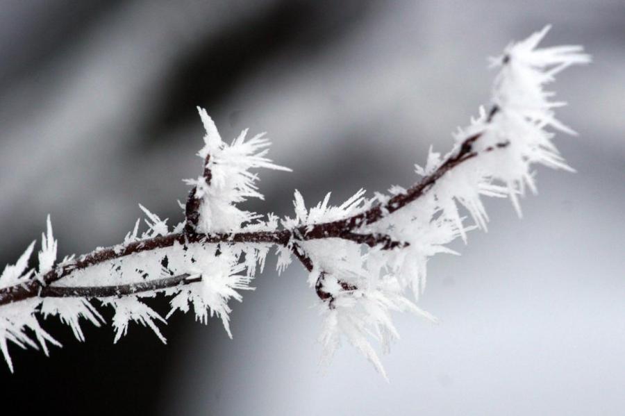 Ученые рассказали, ждать ли в этом году в Латвии зимы и когда