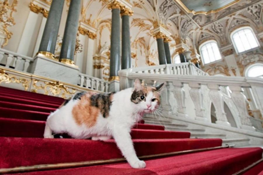 Домашние животные российских императоров