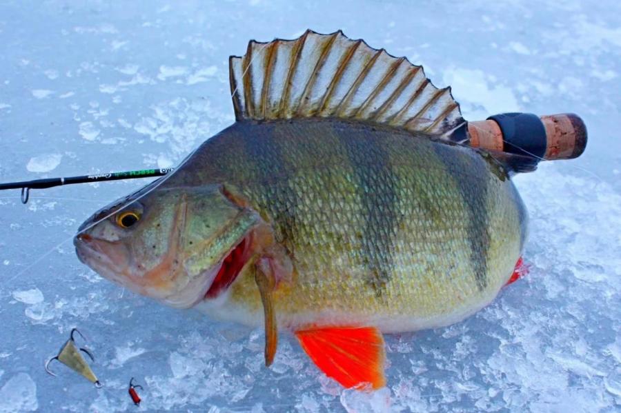 Зимняя рыбалка (40 фото)