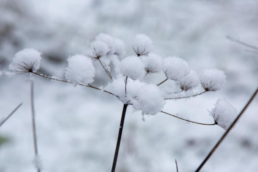 Завтра в Латвии ожидается снег, местами сильный