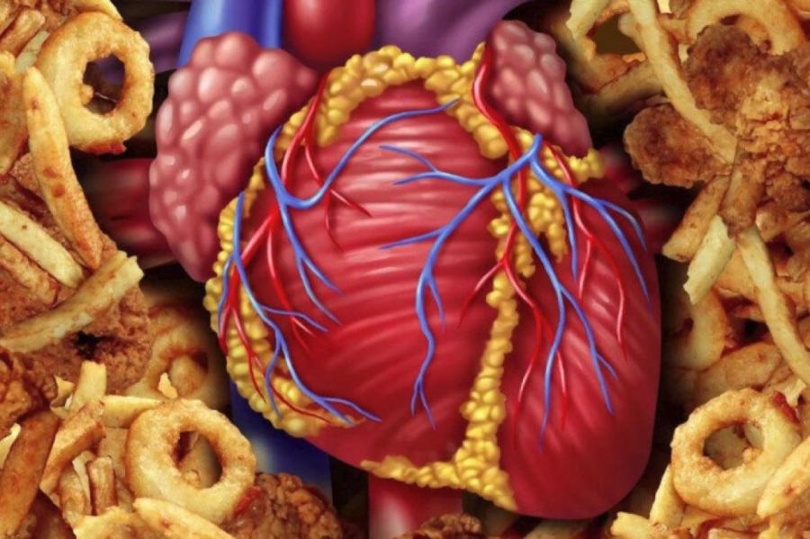 Ученые оценили вред жареной пищи для сердечно-сосудистой системы