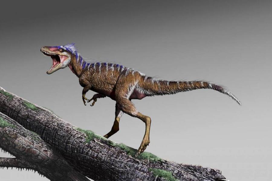 Исследование: детеныши тираннозавра были размером с собаку