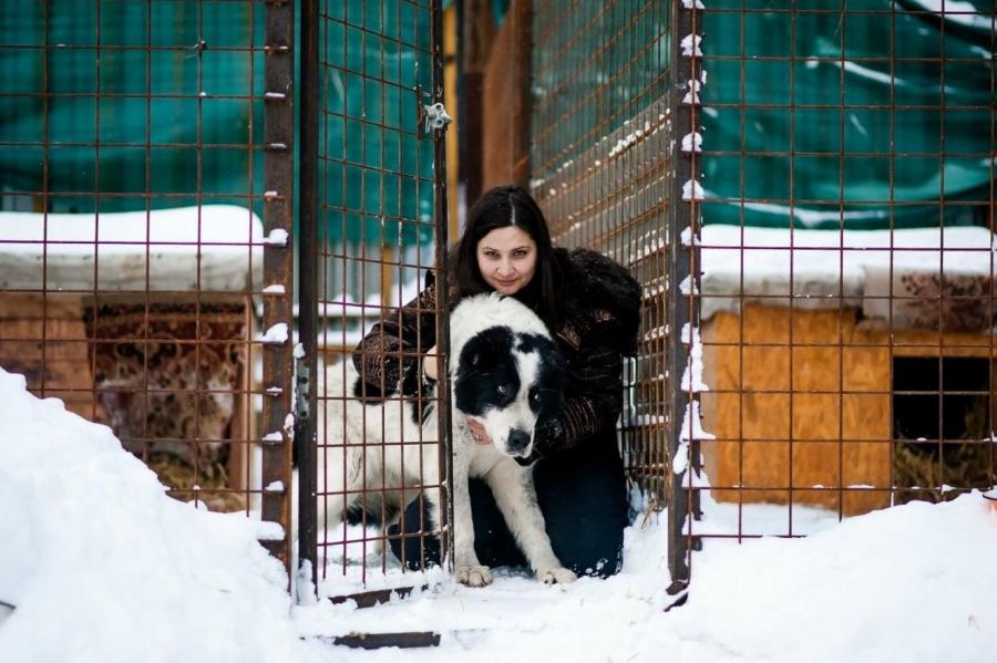 В московских приютах утеплили вольеры для животных