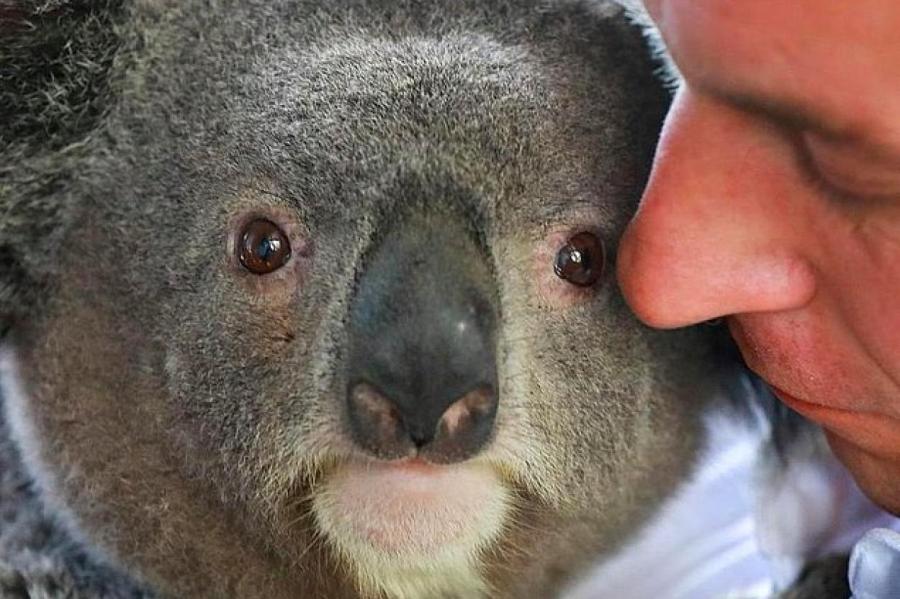 Смотритель зоопарка стал сенсацией в Instagram благодаря снимкам животных