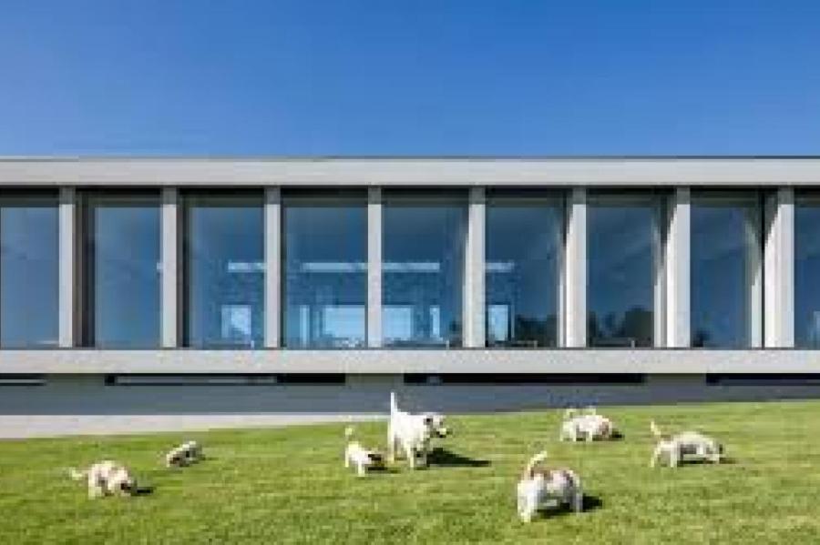 В Португалии открылся отель для животных класса люкс
