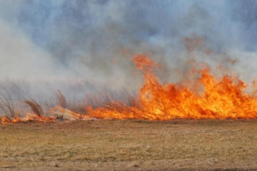 В Латвии зарегистрирован первый в году пожар старника